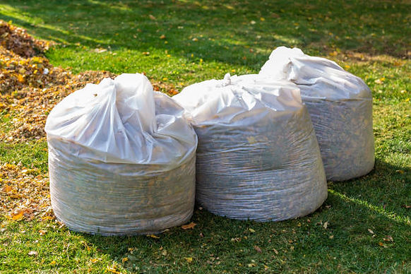 Bagged leaves and yard debris after a seasonal cleanup