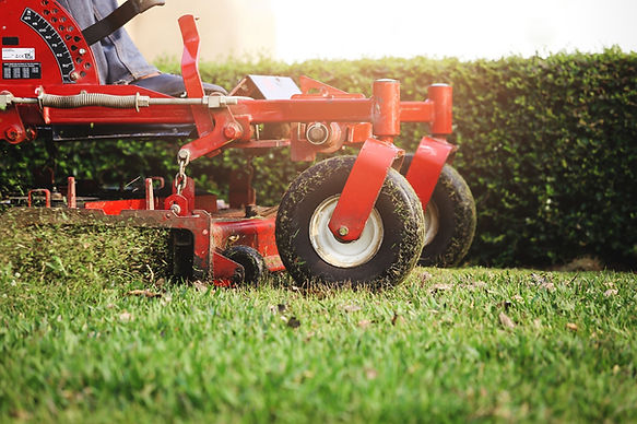 Commercial zero-turn mower cutting a healthy green lawn
